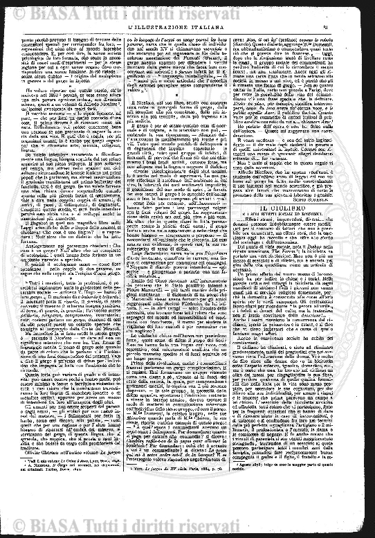 v. 14, n. 84 (1901) - Copertina: 1