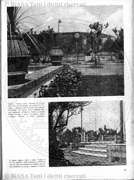 1896 (1896) - Frontespizio