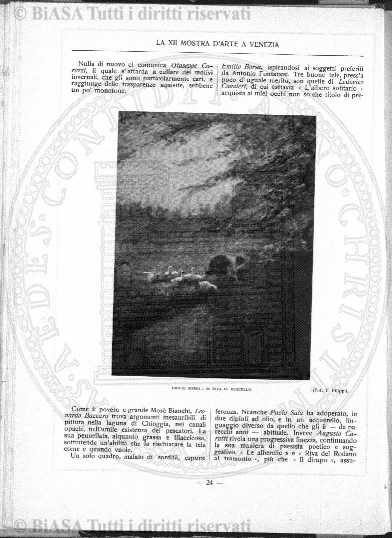 n. 31 (1879) - Pagina: 233