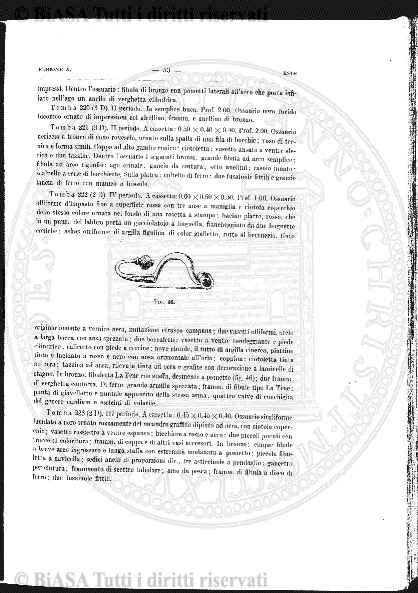 n. 34 (1885-1886) - Pagina: 265 e sommario
