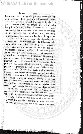 n. 6 (1894) - Pagina: 45