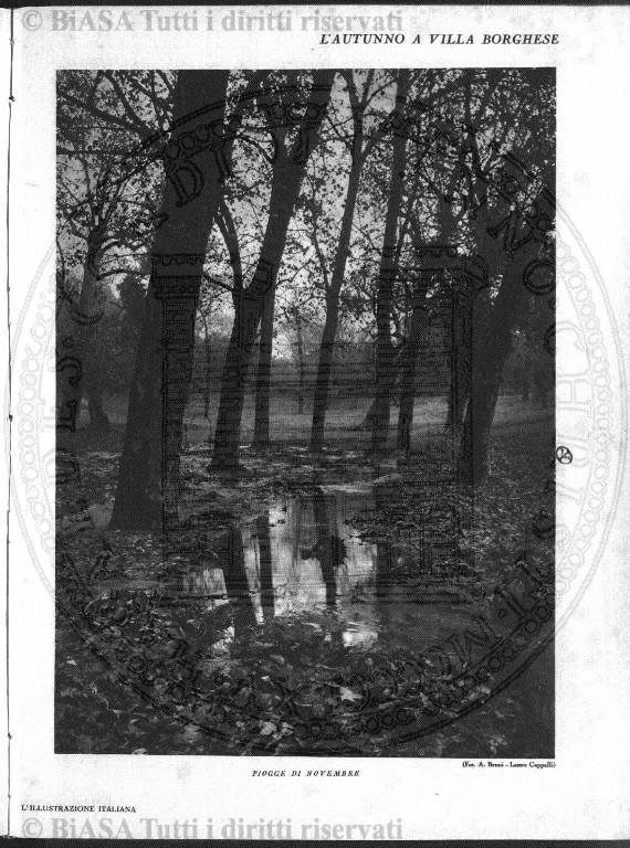 n. 11 (1915-1916) - Pagina: 97