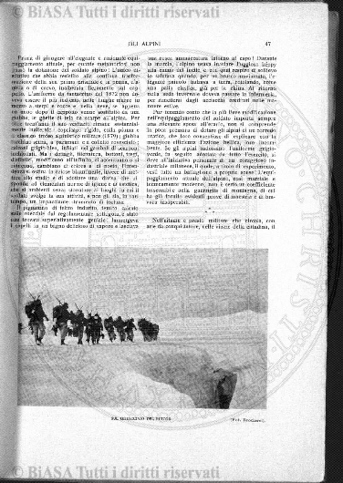 v. 3, n. 28 (1836-1837) - Pagina: 217