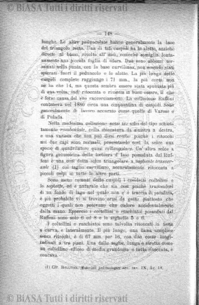 s. 3, v. 3, n. 8 (1887) - Pagina: 249