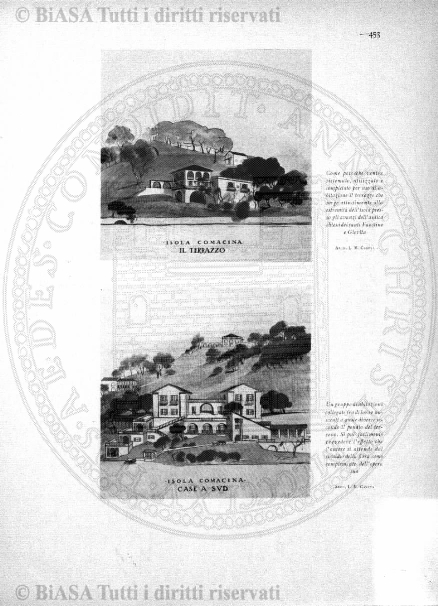 v. 25, n. 47 (1858-1859) - Pagina: 373