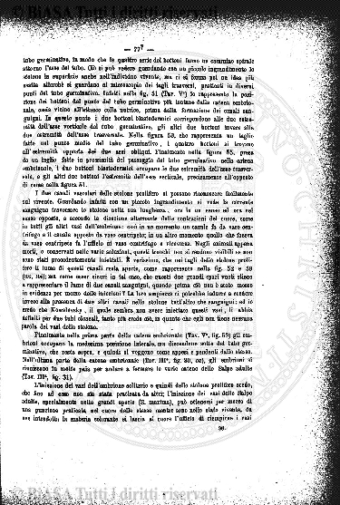 v. 23, n. 27 (1856-1857) - Pagina: 209