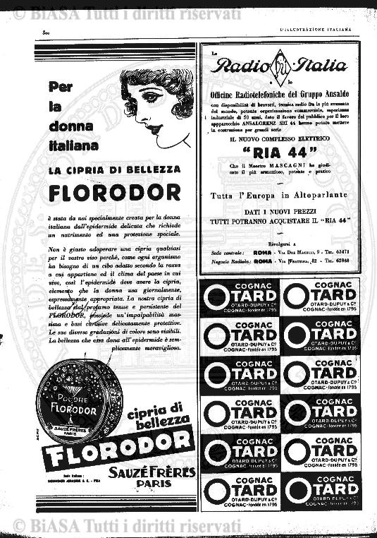 n. 19 (1890) - Frontespizio