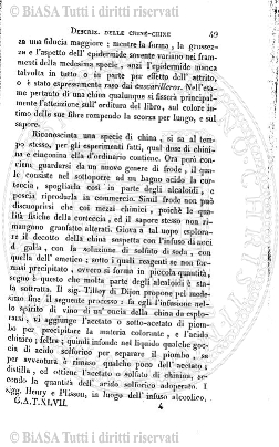 v. 7, n. 39 (1911) - Tavola fuori testo