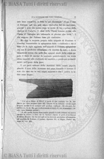 s. 4, n. 8 (1885) - Sommario: p. 113