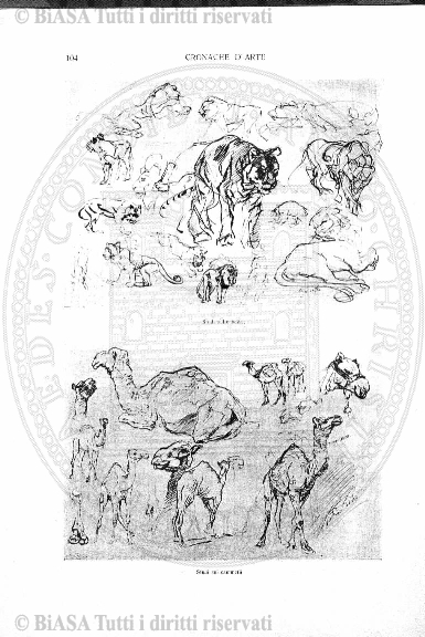 n. 12 (1882) - Pagina: 205