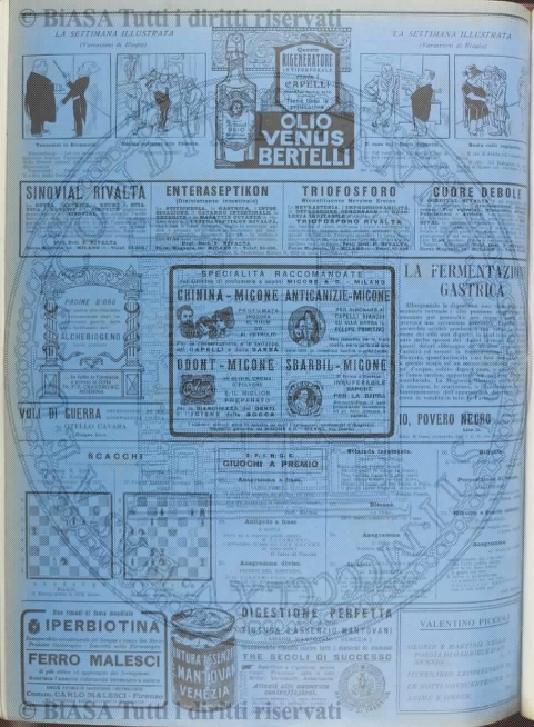 n. 32 (1885) - Pagina: 249 e sommario