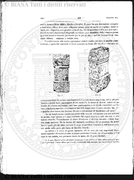n. 30 (1888) - Pagina: 233 e sommario