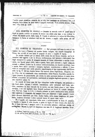 n. 32 (1890) - Frontespizio