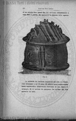 n. 26 (1899) - Frontespizio