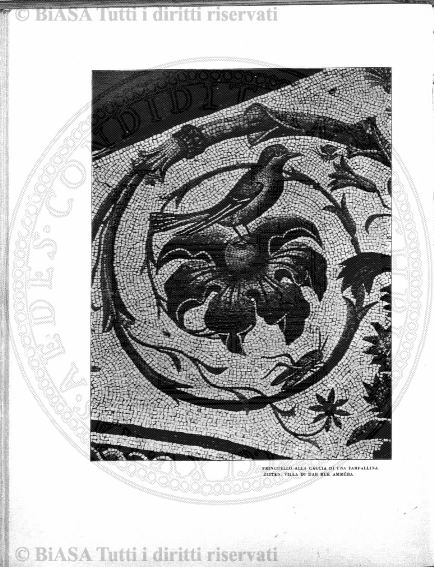 n. 8 (1930) - Copertina: 1