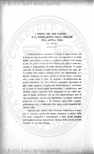 n. 4 (1903) - Pagina: 99