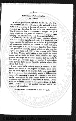 n. 12 (1885) - Frontespizio