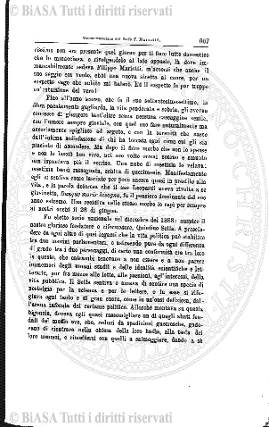 n. 8 (1905) - Copertina: 1 e sommario