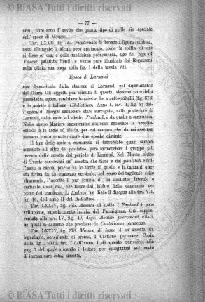 n. 8-9 (1877) - Pagina: 145