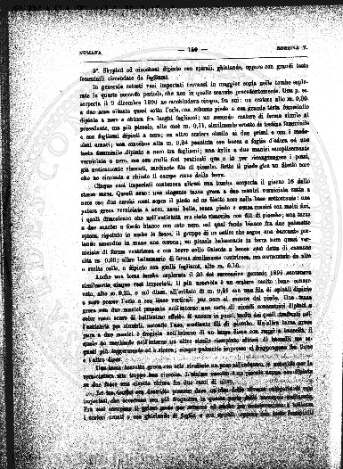 supplemento v. 1, n. 9-10 (1882-1883) - Pagina: 85