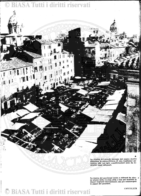 v. 7, n. 7 (1898) - Pagina: 97