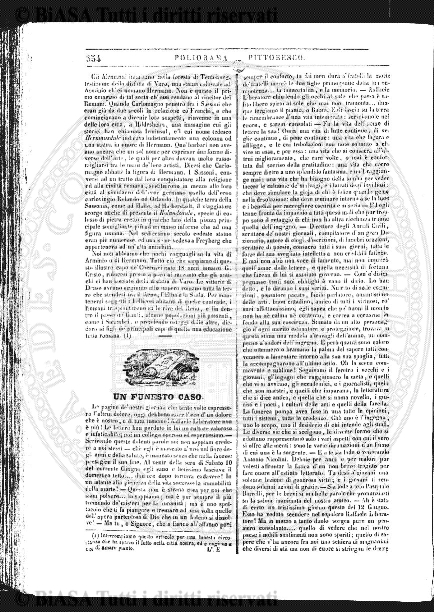 v. 11, n. 8 (1902) - Pagina: 113