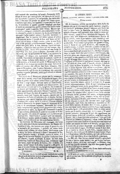 n. 28 (1883) - Pagina: 217 e sommario