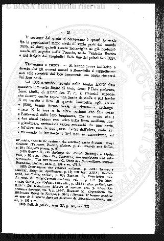 v. 1, n. 46 (1834-1835) - Pagina: 361