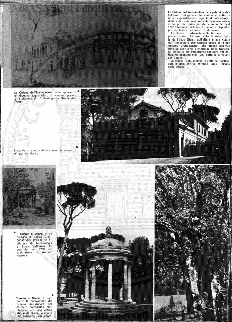 n. 12 (1849) - Pagina: 177