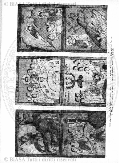 v. 13, n. 30 (1846-1847) - Pagina: 233