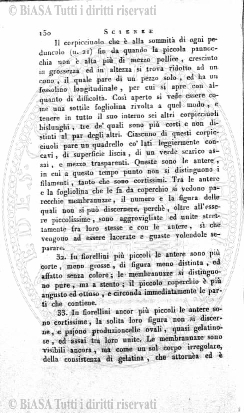 n. 4-5-6 (1924) - Pagina: 121