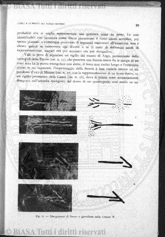n. 9 (1834) - Pagina: 33