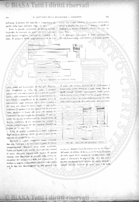 n. 28 (1843-1844) - Pagina: 81