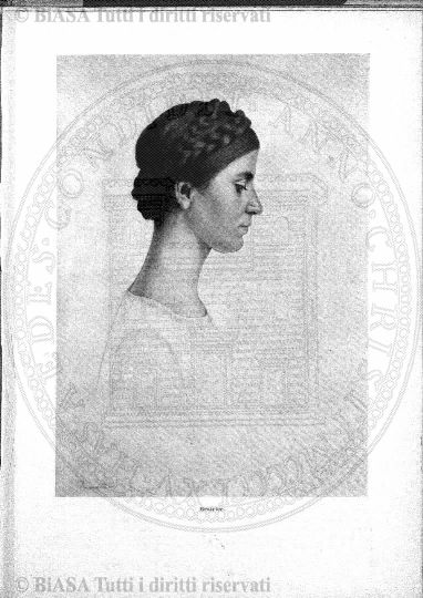 n. 3-4 (1884) - Pagina: 33