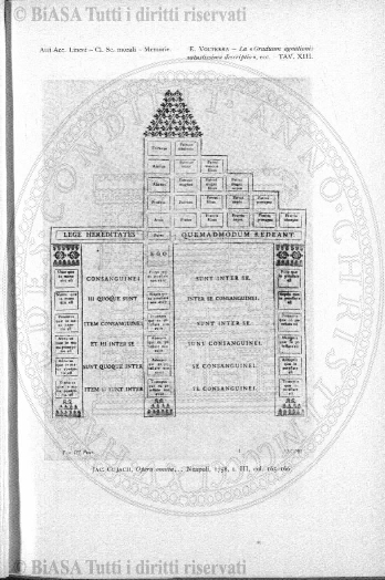 n. 7-8-9 (1924) - Pagina: 265