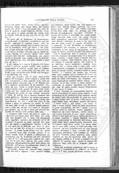 n. 3 (1926) - Pagina: 113