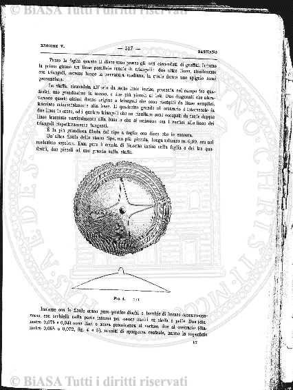 n. 6 (1905) - Pagina: 141