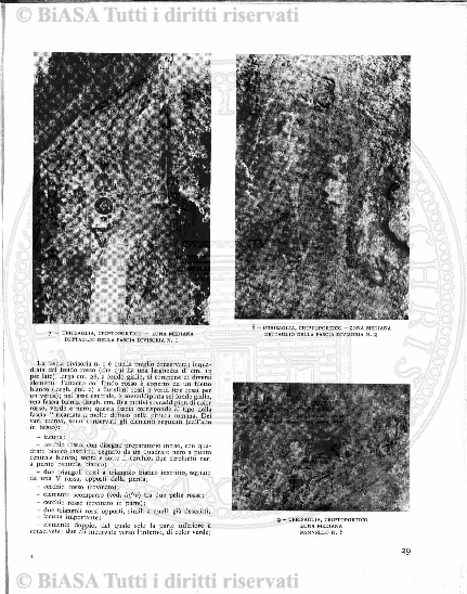 dic (1928) - Copertina: 1