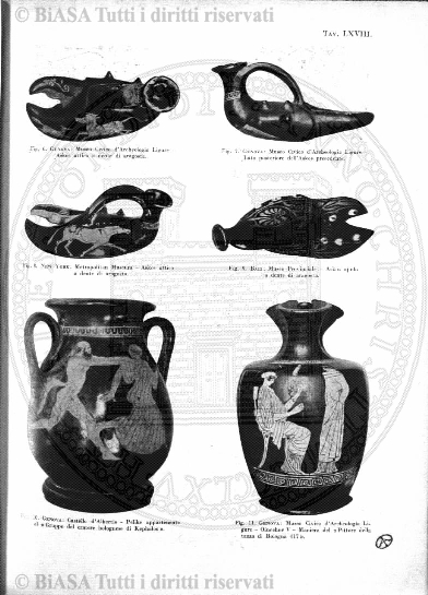n. 8 (1903) - Pagina: 61