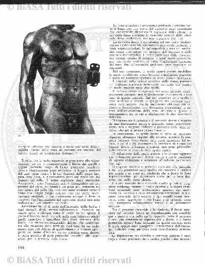 s. 2, v. 5, n. 1 (1870) - Frontespizio