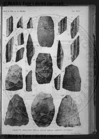 n. 14 (1846-1847) - Pagina: 105