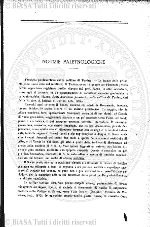 n. 41 (1882) - Frontespizio