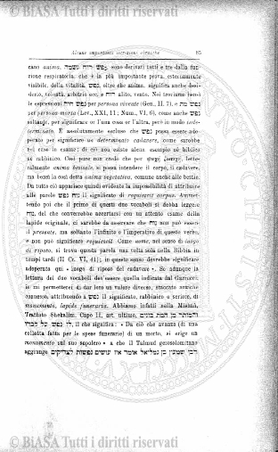 n. 12 (1885) - Pagina: 89 e sommario