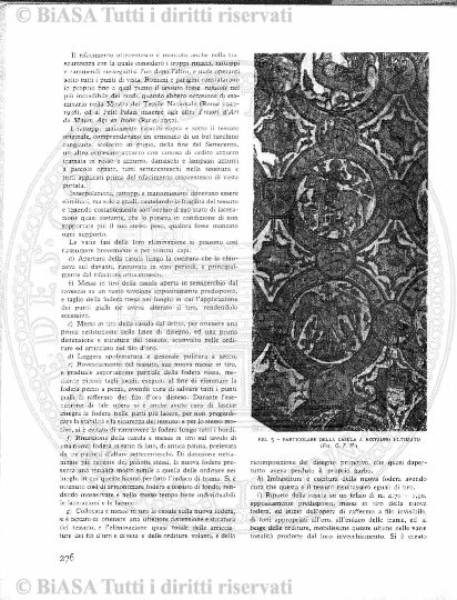 v. 31, n. 186 (1910) - Copertina: 1