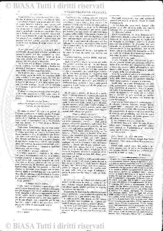 n. 24 (1877) - Frontespizio e sommario