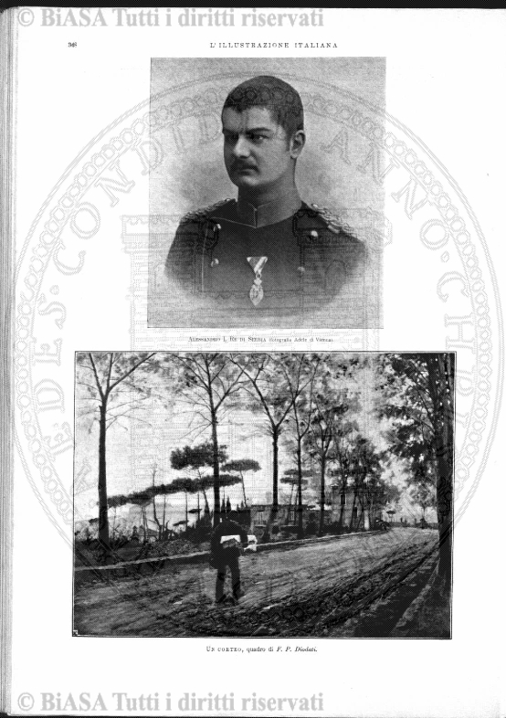 n. 51 (1893) - Frontespizio