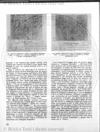 v. 11, n. 45 (1784-1785) - Pagina: 361