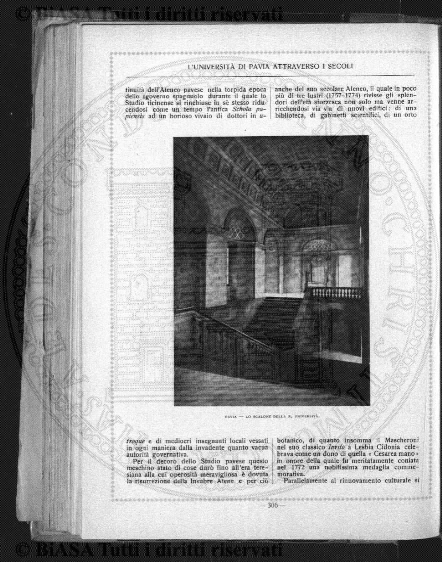 n. 22 (1835) - Pagina: 85