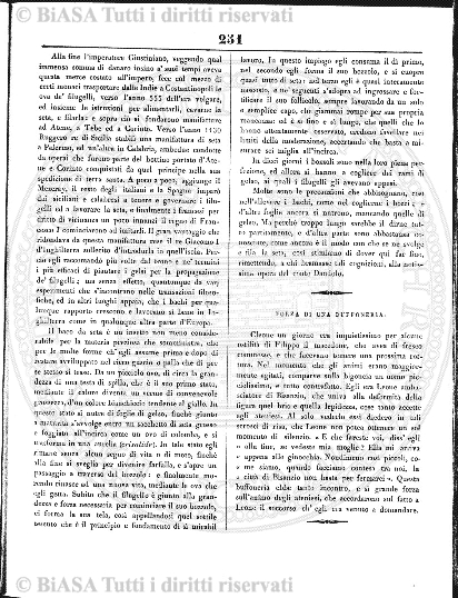 n. 3 (1911) - Pagina: 113