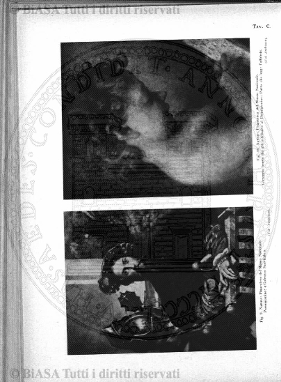 n. 19 (1884) - Frontespizio
